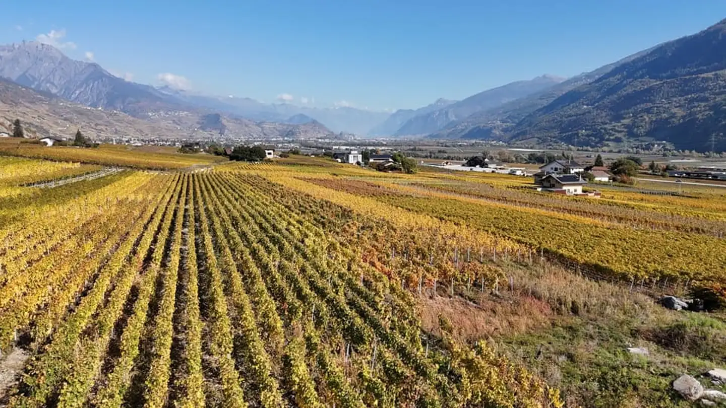 Maison individuelle à vendre - 1955 Chamoson - Photo 2