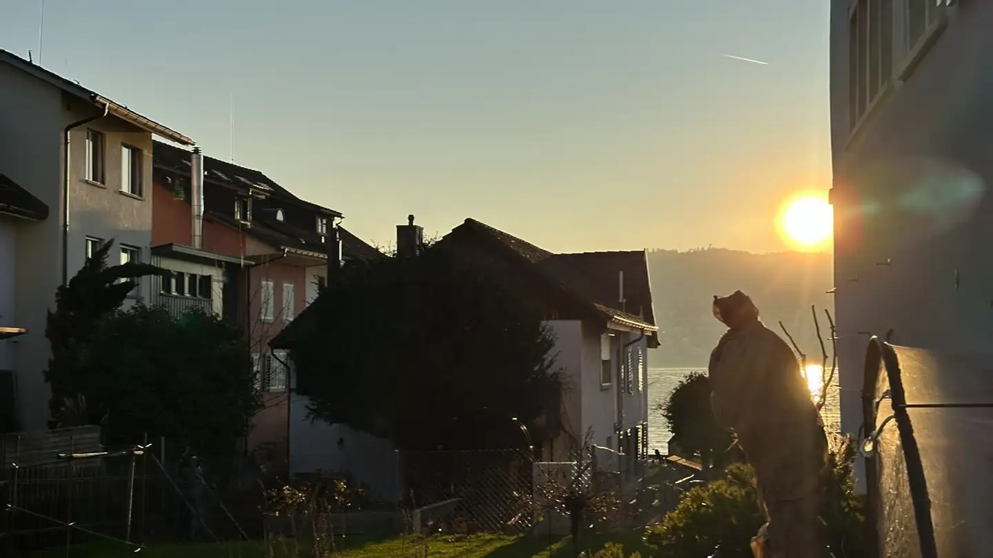 Apartment for rent - Im Unterdorf 7, 8703 Erlenbach ZH - Photo 2