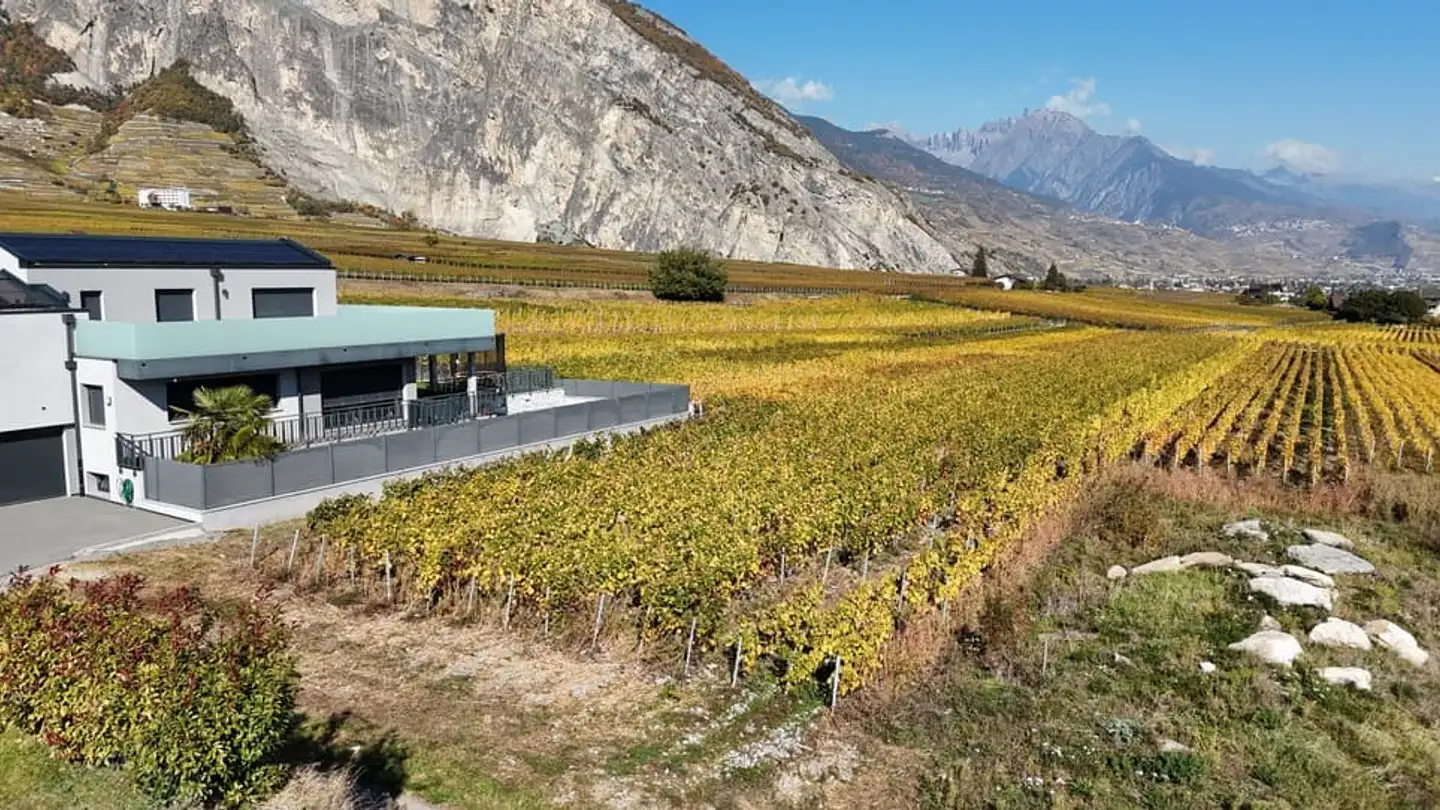 Maison individuelle à vendre - 1955 Chamoson