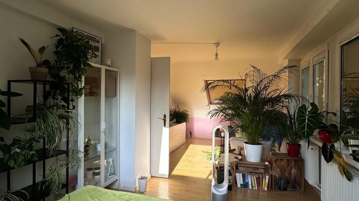 Chambre à louer - Unterer Batterieweg 168, 4059 Basel - Photo 3