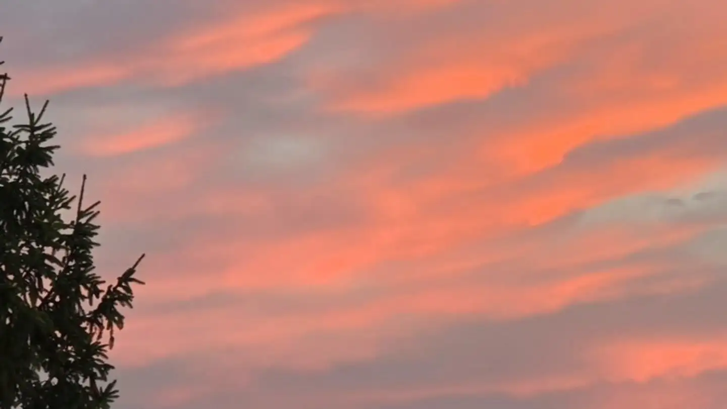 Stanza singola in affitto - 1185 Mont-sur-Rolle - Foto 2