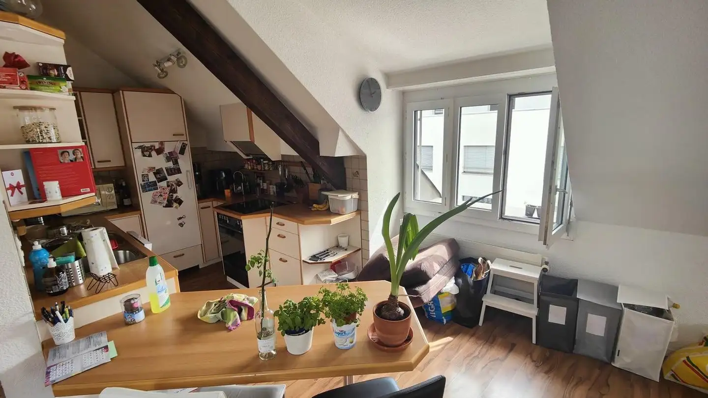 Chambre à louer - Martin-Disteli-Strasse 1, 4600 Olten - Photo 4