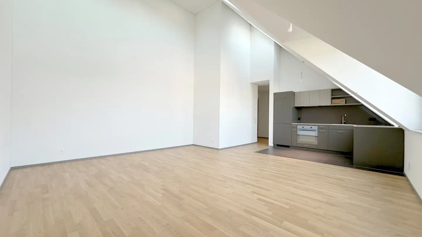 Penthouse for rent - Haldenstrasse 169, 8055 Zürich - Photo 2