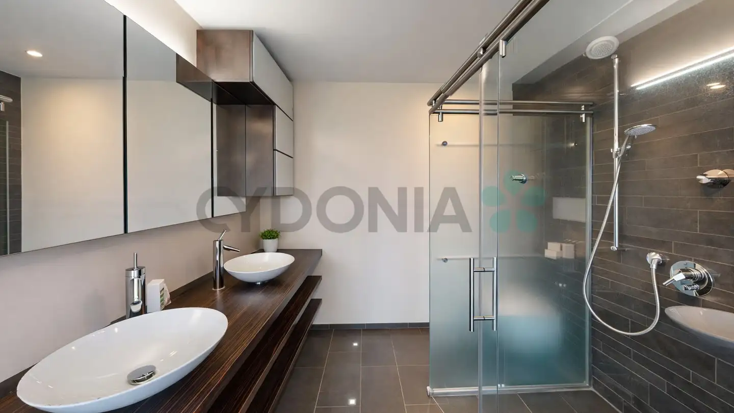 Penthouse kaufen - 1228 Plan-les-Ouates - Foto 4