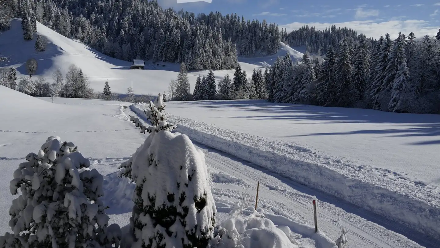 Appartamento in affitto - Vorder Zinggen 157f, 3556 Trub