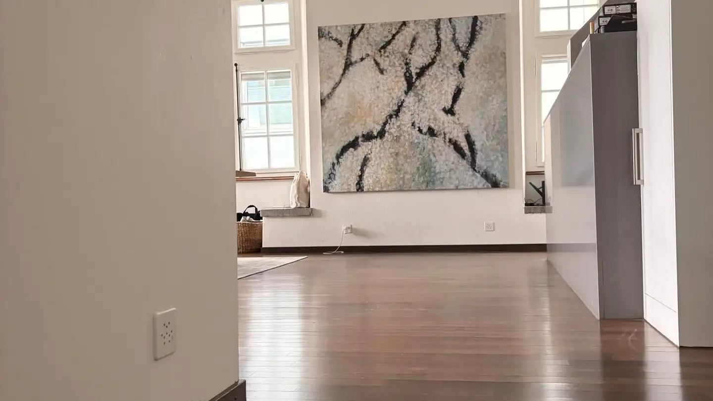 Duplex à louer - Limmatquai 76, 8001 Zürich - Photo 4