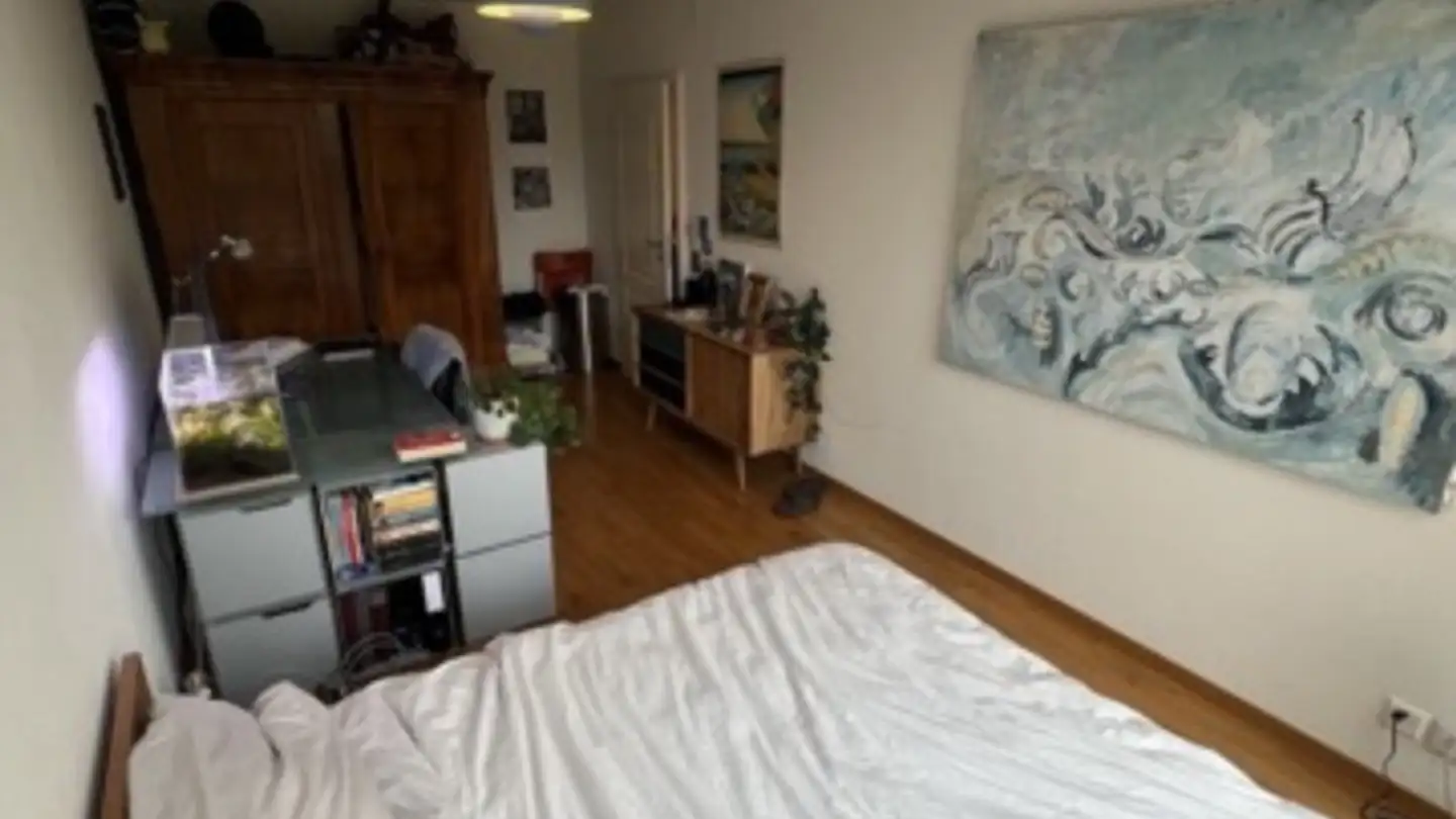Single room for rent - Wieslergasse 8, 8049 Zürich - Photo 3