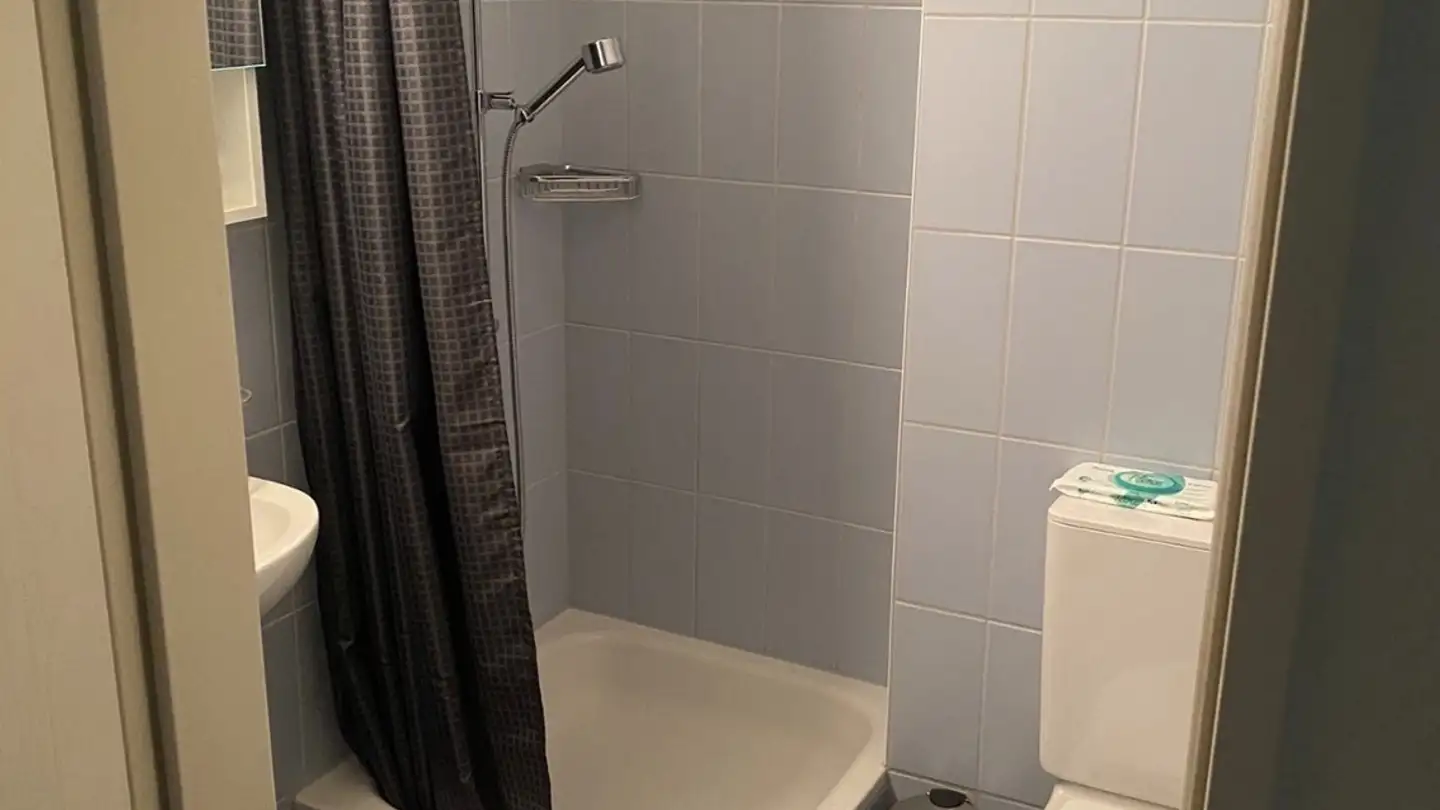 Appartement à louer - Langfurenstrasse 51, 8143 Stallikon - Photo 4