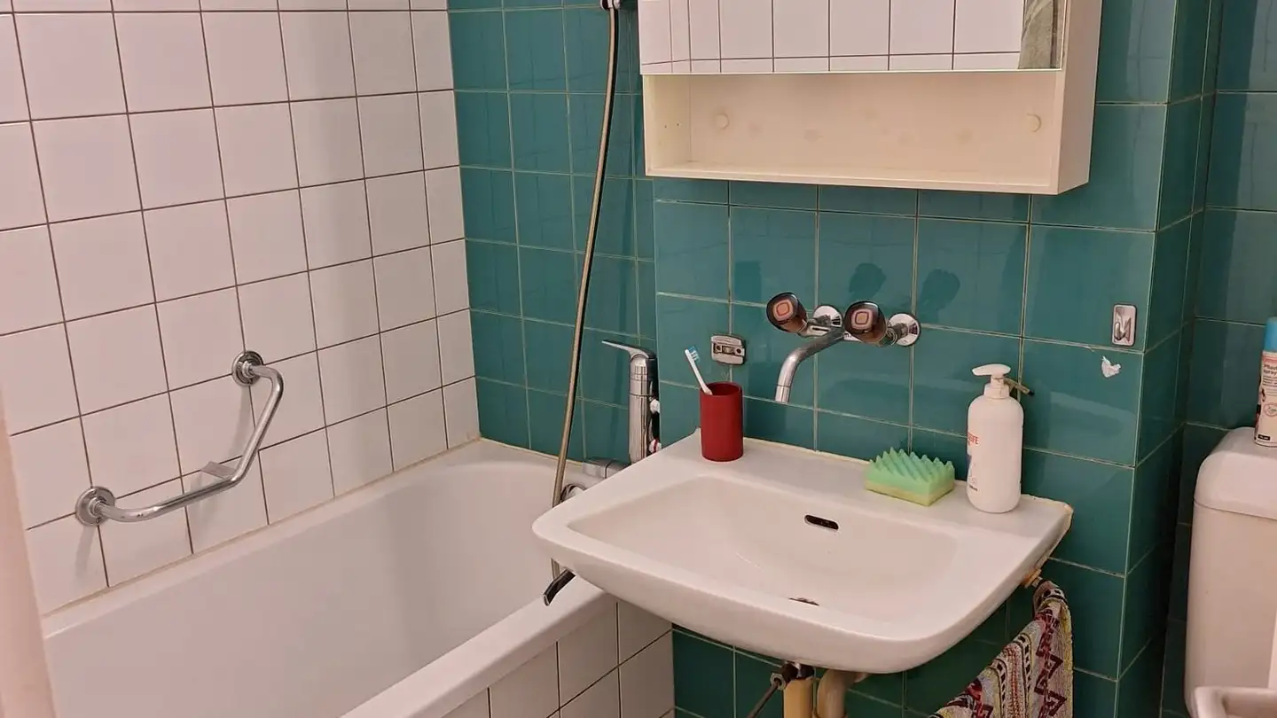 Apartment for rent - Wolhausenstrasse 21, 8910 Affoltern am Albis - Photo 4