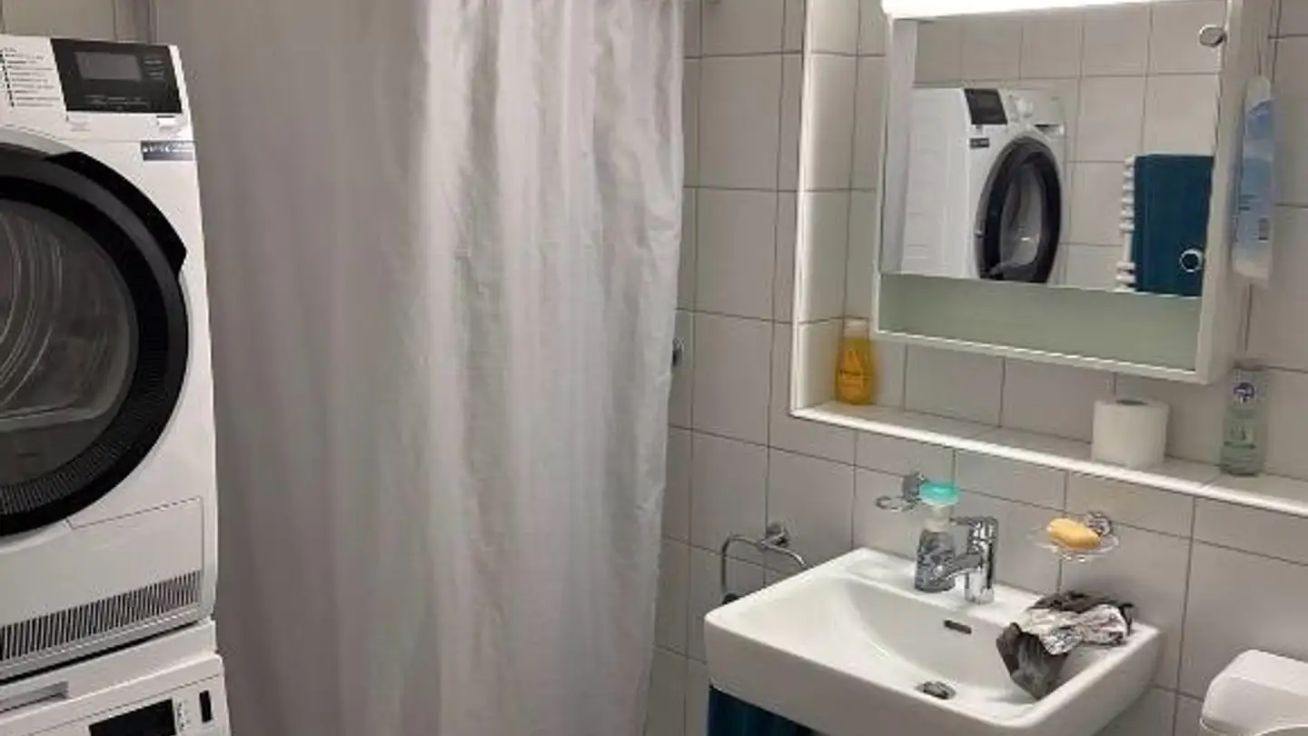 Chambre à louer - Schaffhauserstrasse 372, 8050 Zürich - Photo 3