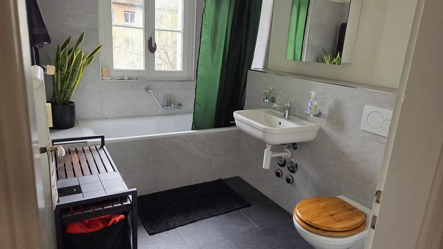 Apartment for rent - Peter Rot-Strasse 88, 4058 Basel - Photo 4