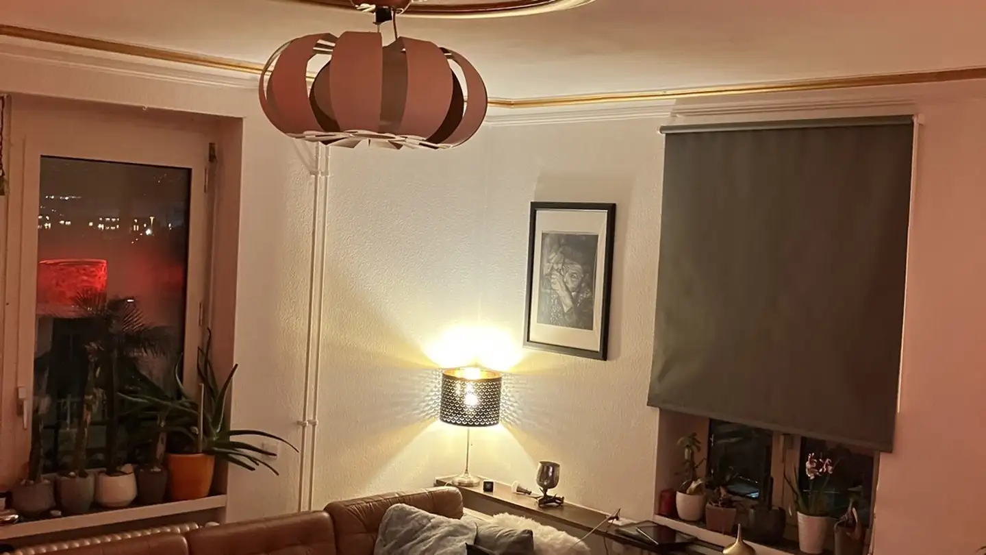 Chambre à louer - Hohlstrasse 449, 8048 Zürich - Photo 2