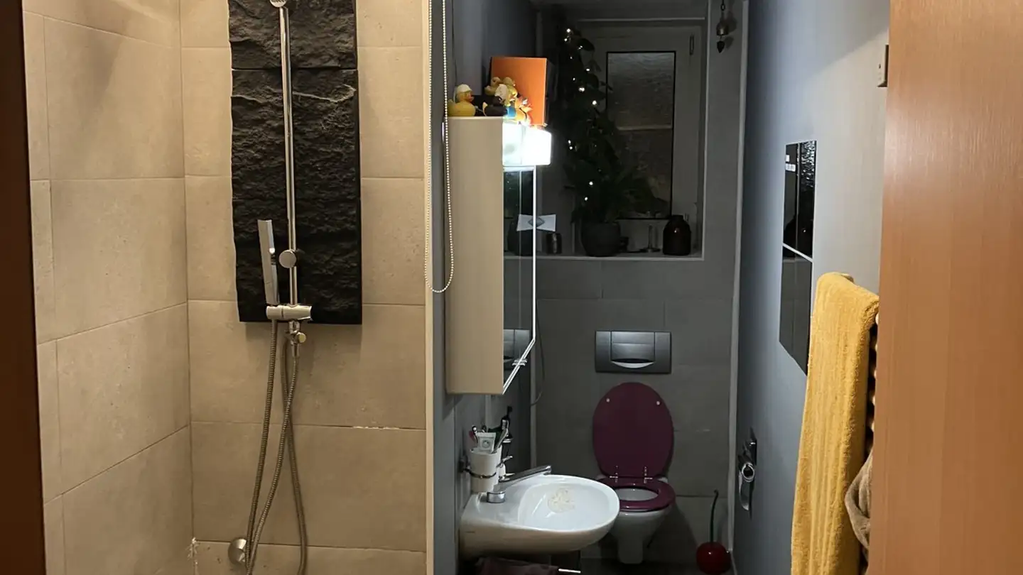 Chambre à louer - Hohlstrasse 449, 8048 Zürich - Photo 3