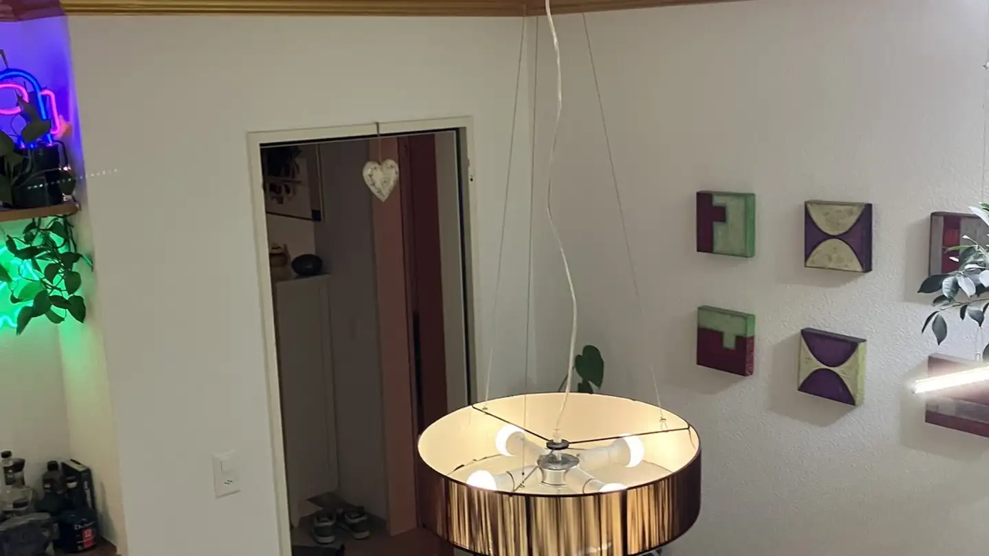 Chambre à louer - Hohlstrasse 449, 8048 Zürich - Photo 4