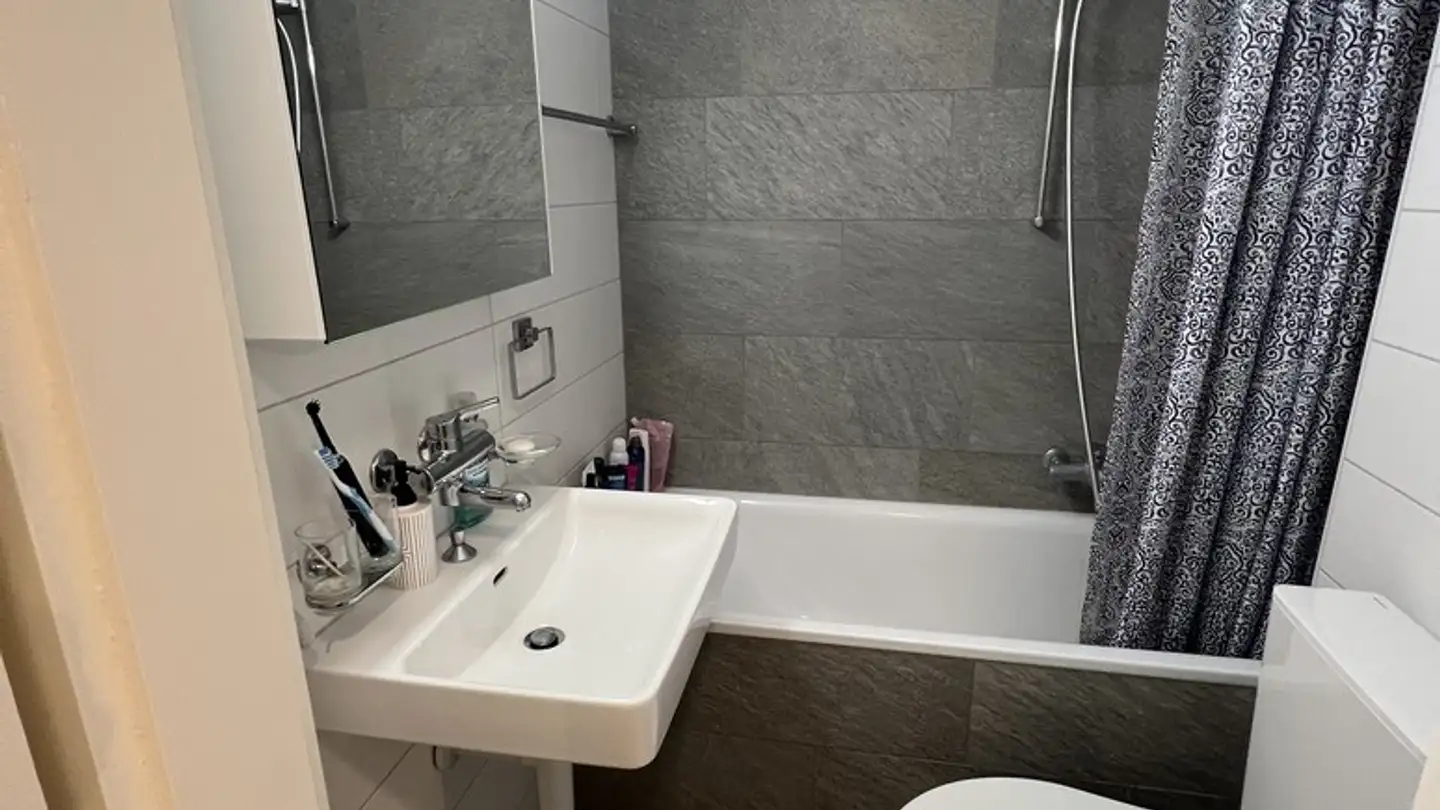 Apartment for rent - Hagentalerstrasse 11, 4055 Basel - Photo 4