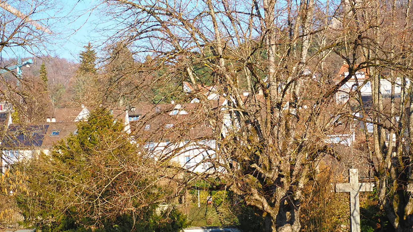 Villa for sale - 4144 Arlesheim