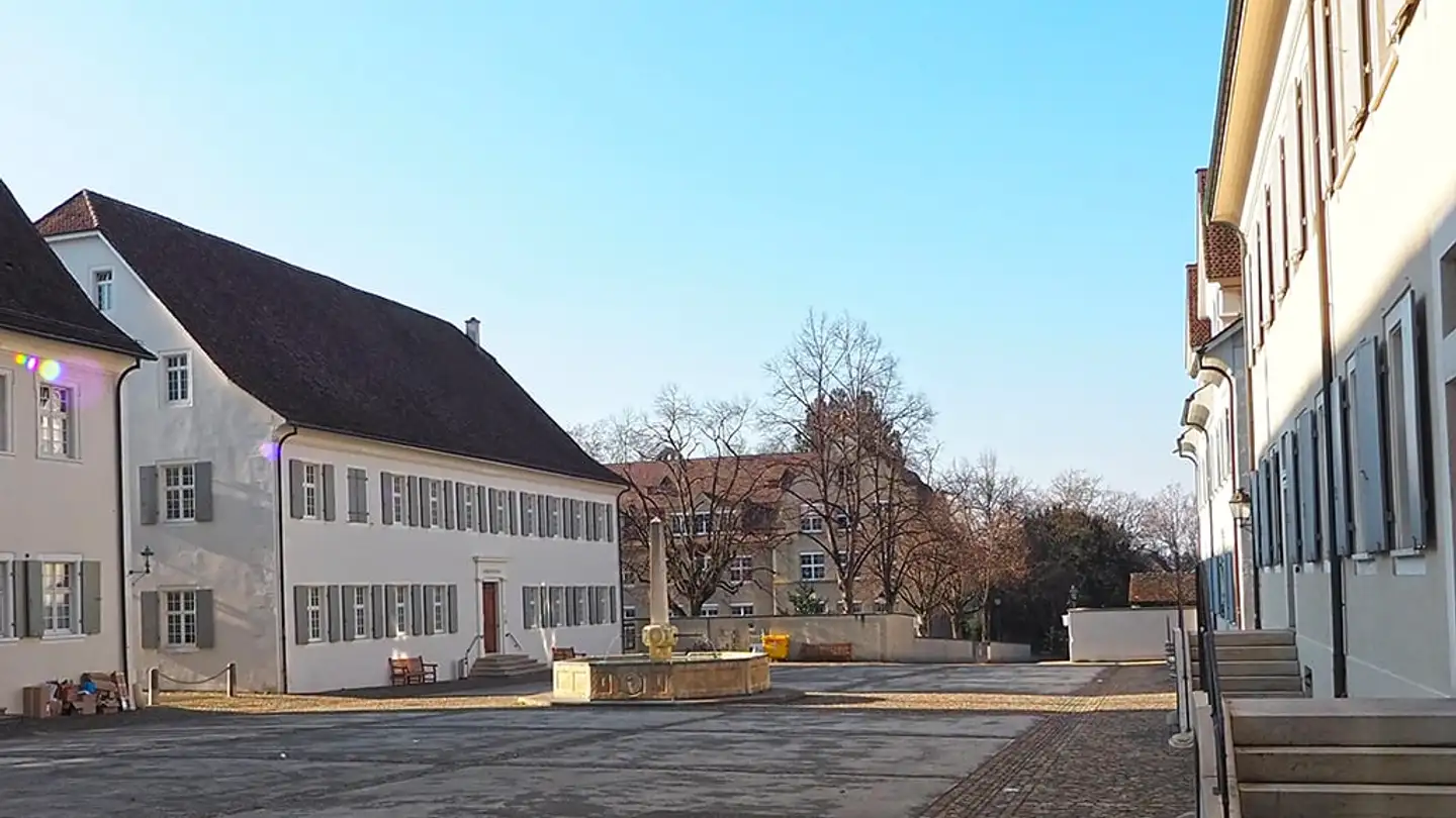 Villa for sale - 4144 Arlesheim - Photo 4