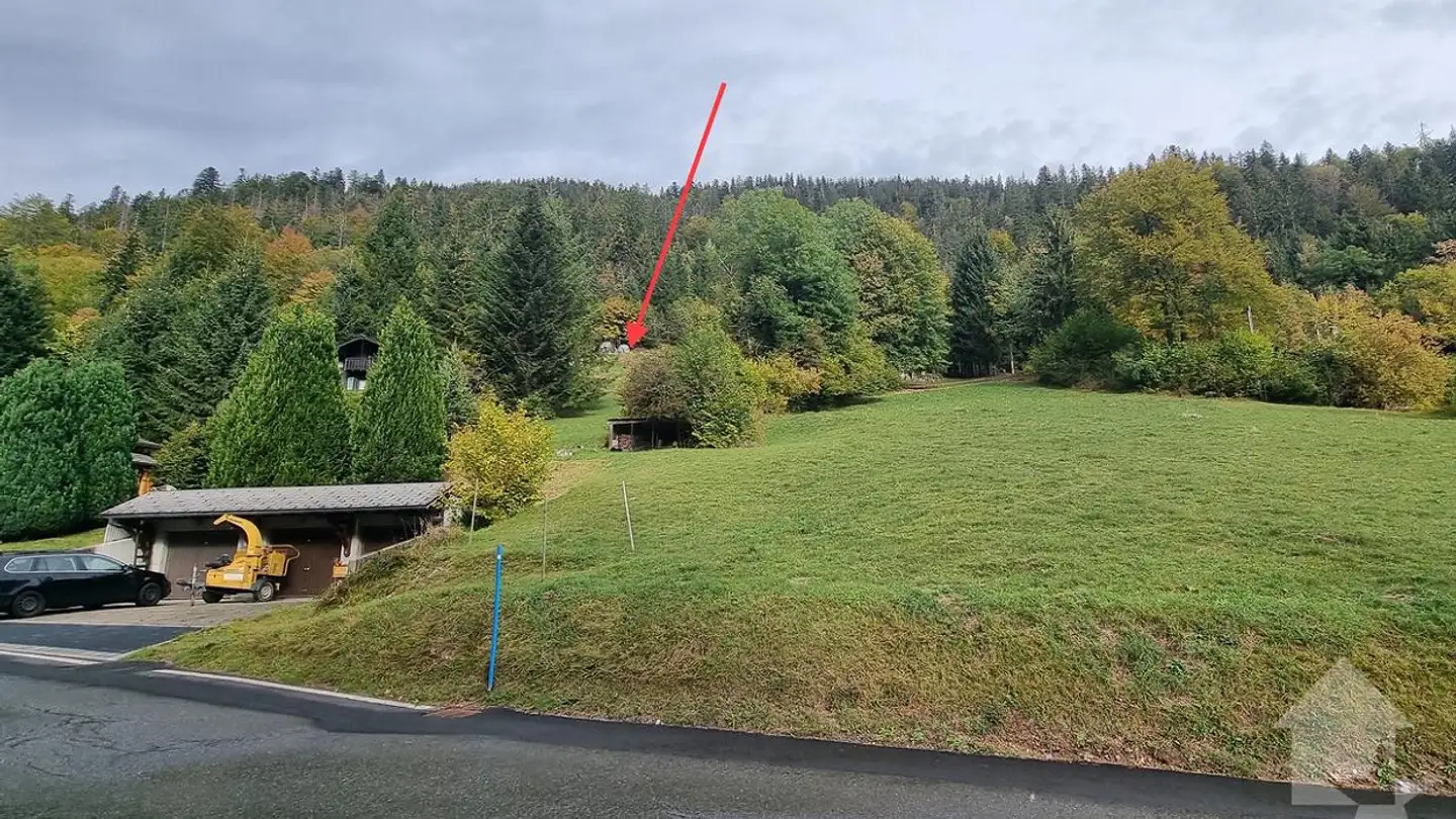 Terrain constructible à vendre - Chemin De La Cheurgne 31, 1899 Torgon