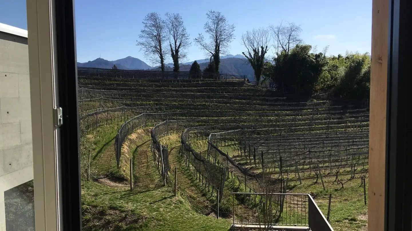 Attico in affitto - Via Paladina 21, 6984 Pura - Foto 4