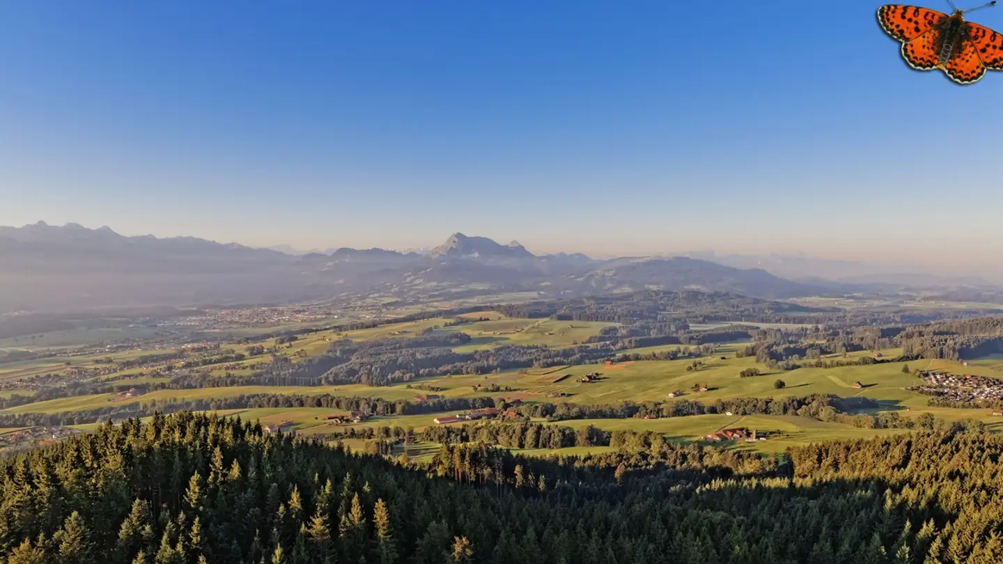 Maison individuelle à vendre - 1694 Villarsiviriaux - Photo 4