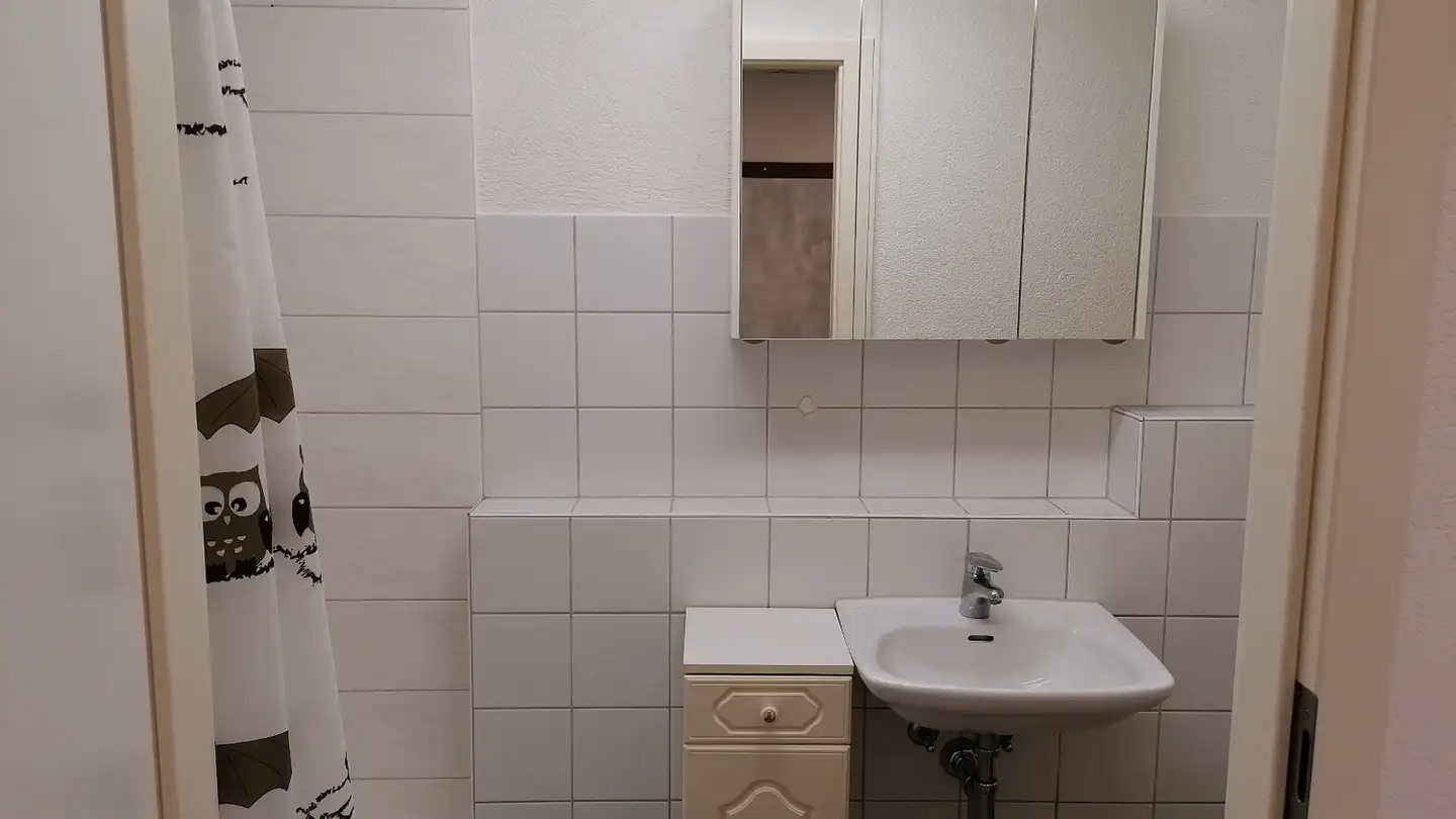 Appartement à louer - Landstrasse 71, 5415 Nussbaumen AG