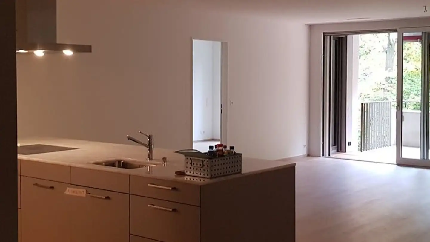 Appartement à louer - Butzenstrasse 130, 8041 Zürich