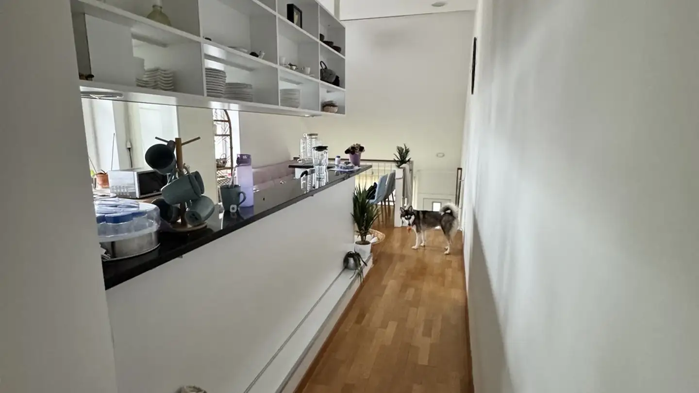 Appartement à louer - 8702 Zollikon - Photo 3