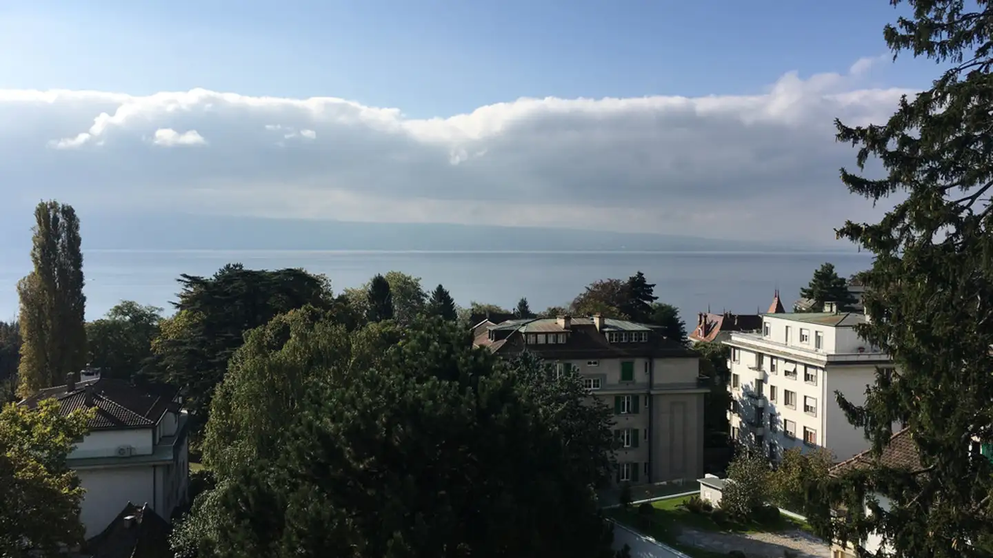 Appartamento in affitto - Chemin De Montolivet 19, 1006 Lausanne - Photo 3