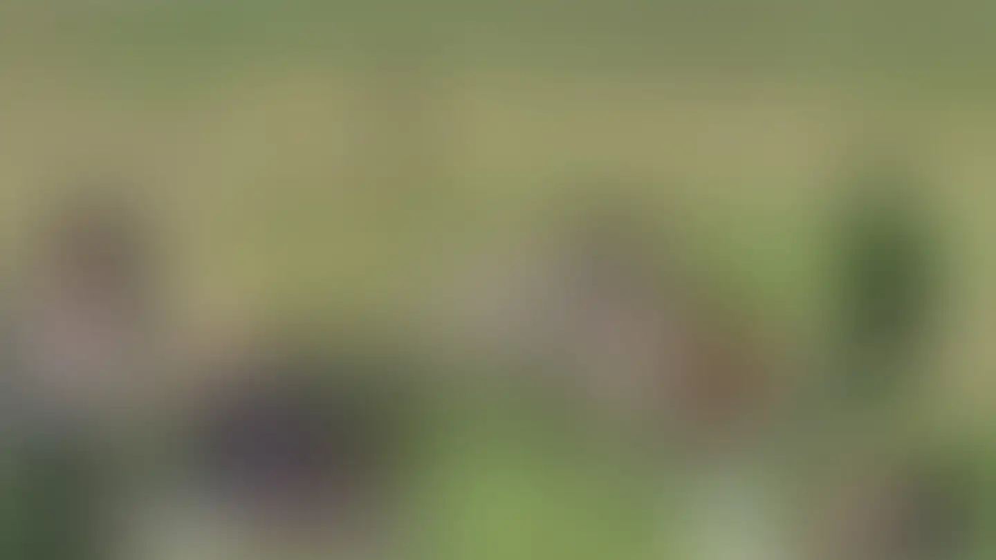 Chalet for sale - 1873 Val-d'Illiez