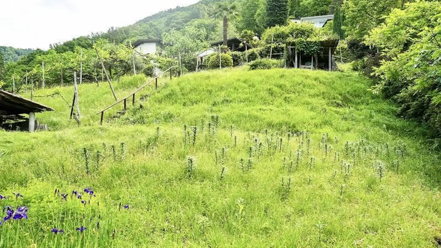 Terrain constructible à vendre - 6578 Caviano - Photo 2