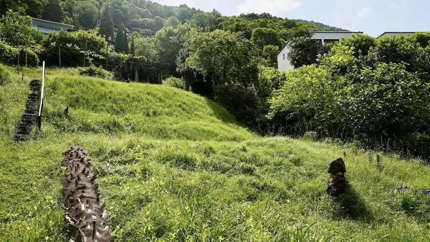 Terrain constructible à vendre - 6578 Caviano - Photo 4