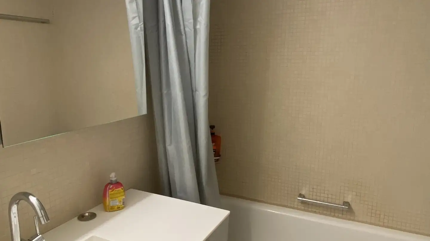 Chambre à louer - Wannerstrasse 24, 8045 Zürich - Photo 2