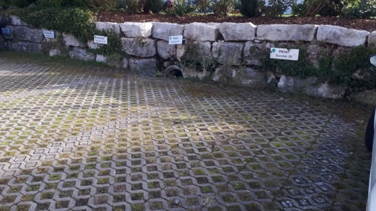 Magasin à louer - Brünnlistrasse 89, 8155 Niederhasli