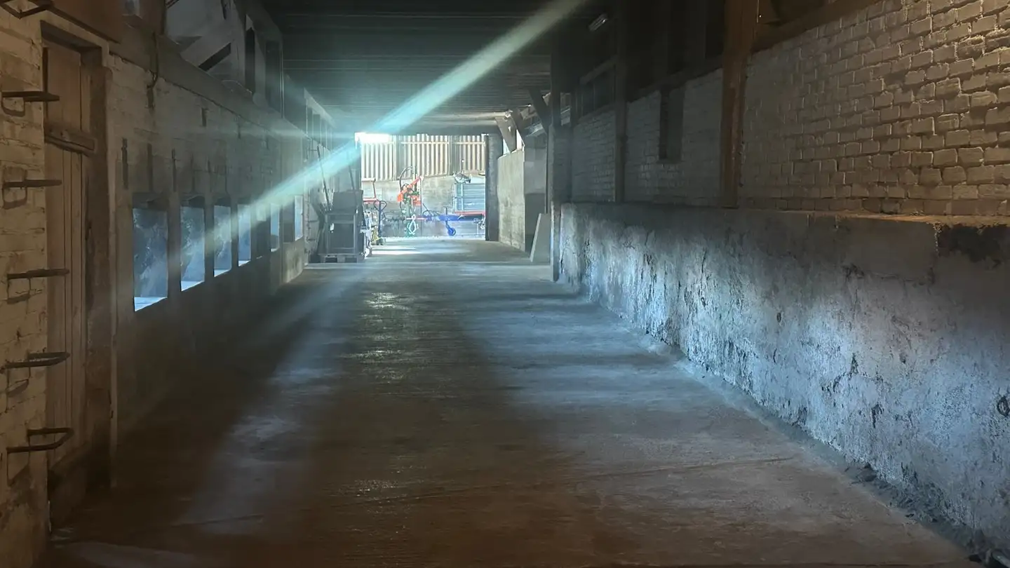 Spazio di archiviazione in affitto - Höcklerhof, 8962 Bergdietikon - Photo 4