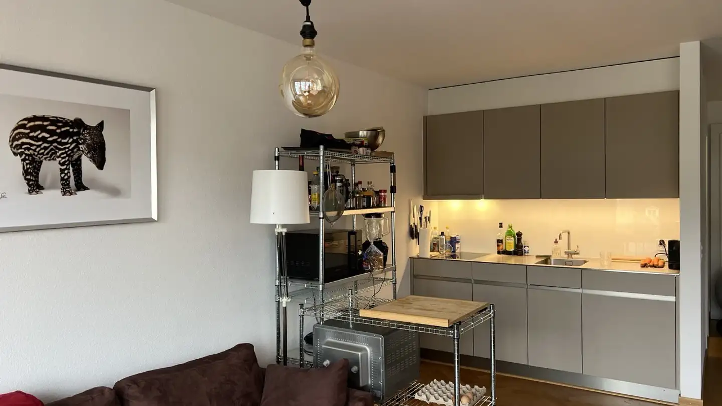 Appartement à louer - Promenadengasse 18, 8001 Zürich - Photo 2