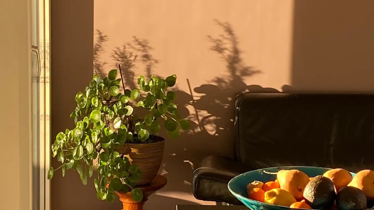 Chambre à louer - 3672 Oberdiessbach