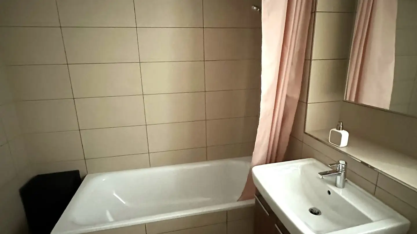 Appartamento in affitto - Zürcherstrasse 17, 8104 Weiningen ZH - Foto 3