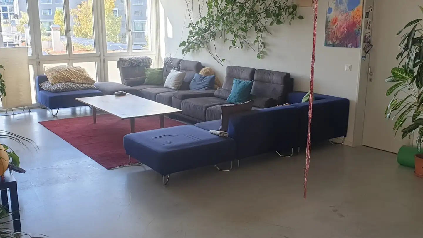 Stanza singola in affitto - 8050 Zürich