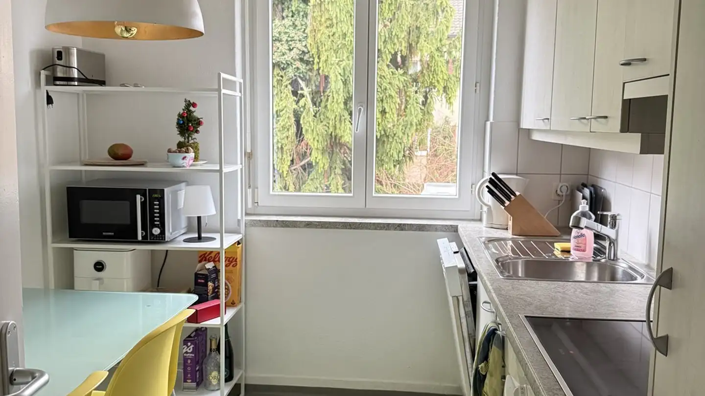 Chambre à louer - Wasserschöpfi 47, 8055 Zürich