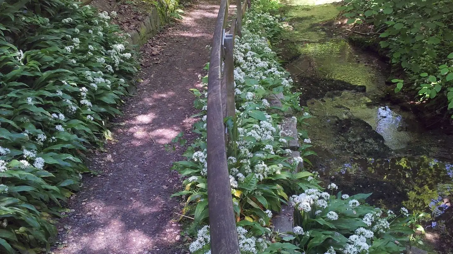 Residential building for sale - 8708 Männedorf - Photo 3