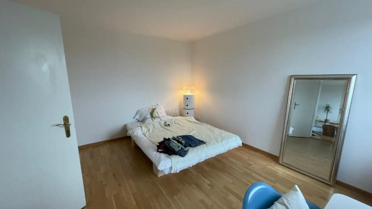 Single room for rent - Luegislandstrasse 56, 8051 Zürich