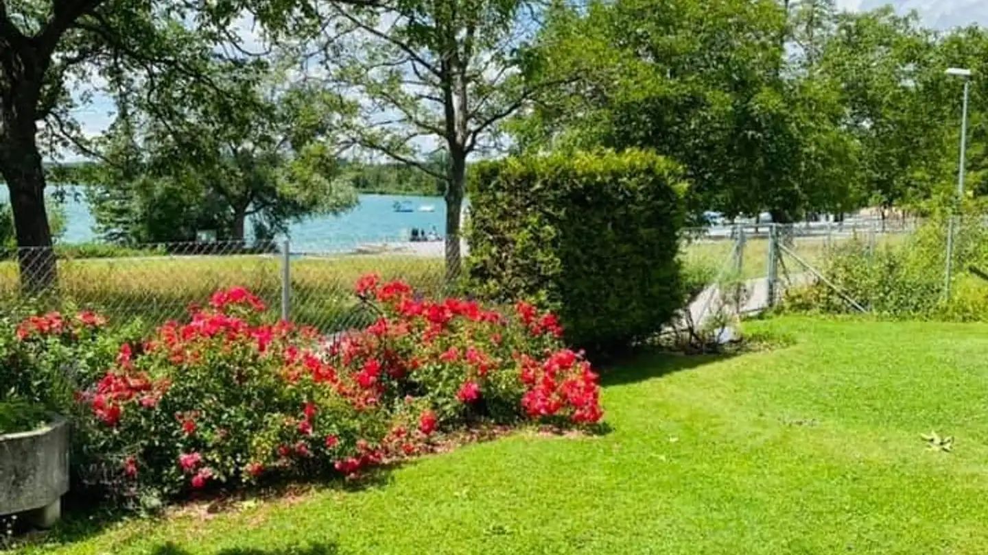 Stanza singola in affitto - 8330 Pfäffikon ZH - Foto 4