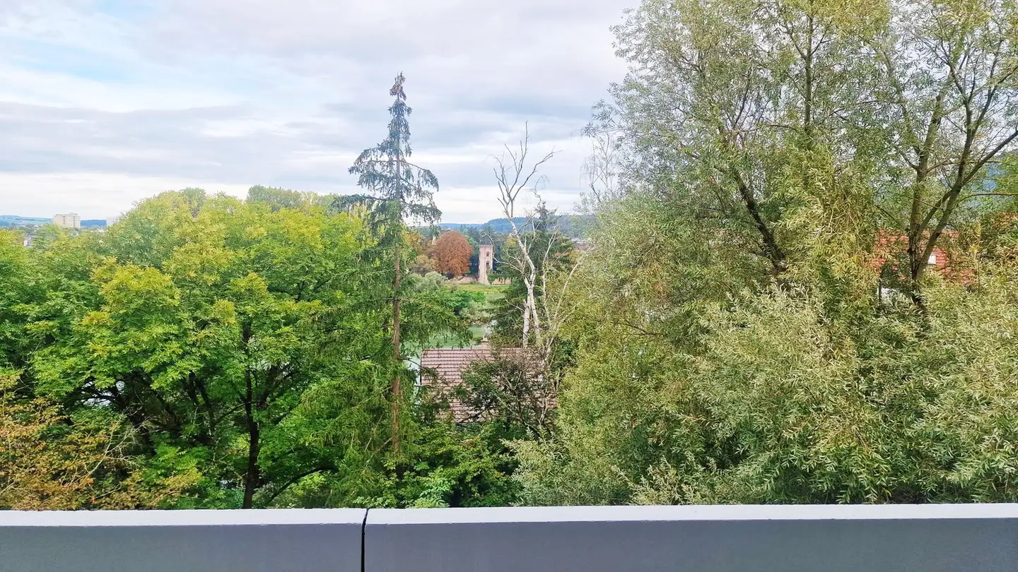 Appartement à louer - Rheinbrückstrasse 1, 4332 Stein AG - Photo 2