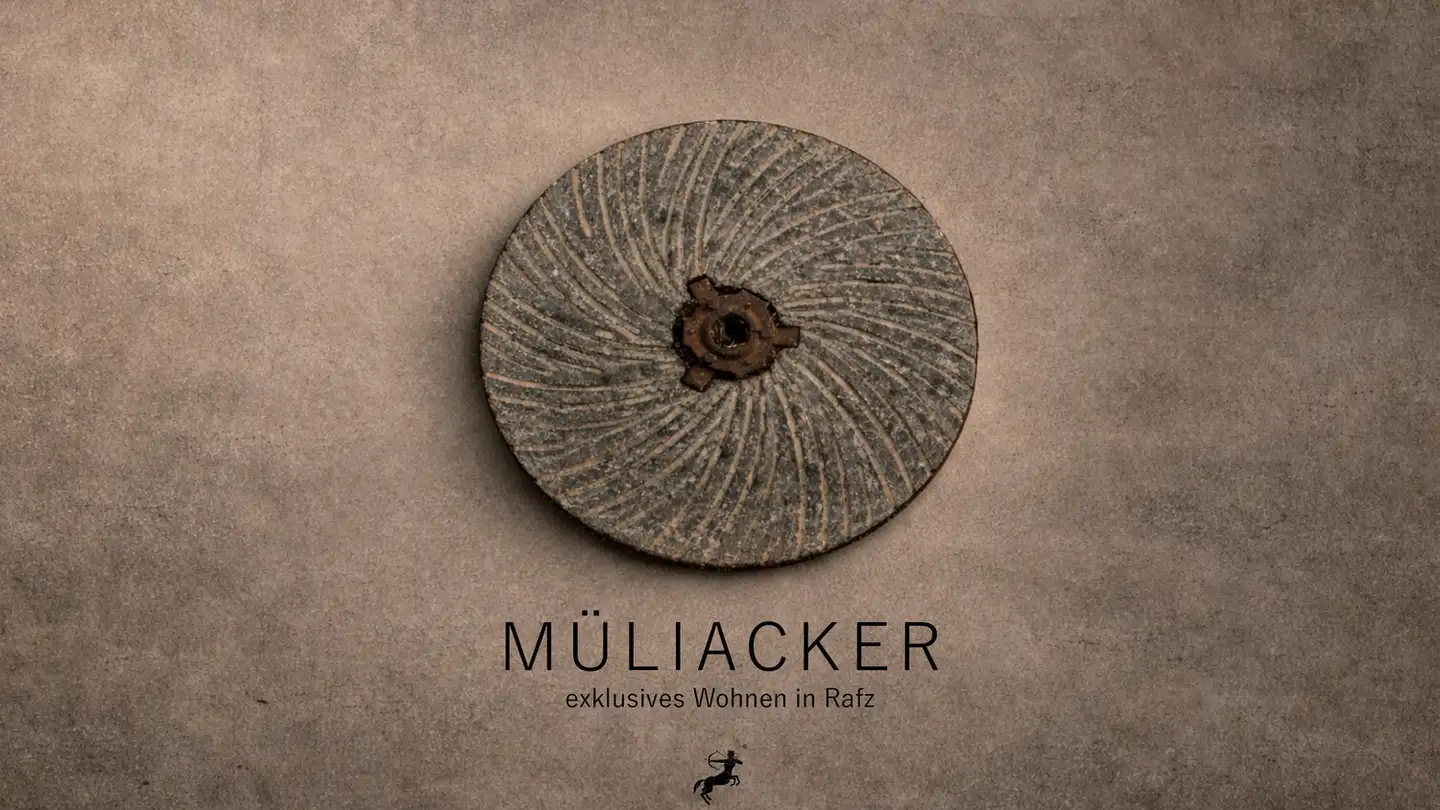 Attique à vendre - Chnübrächi, 8197 Rafz