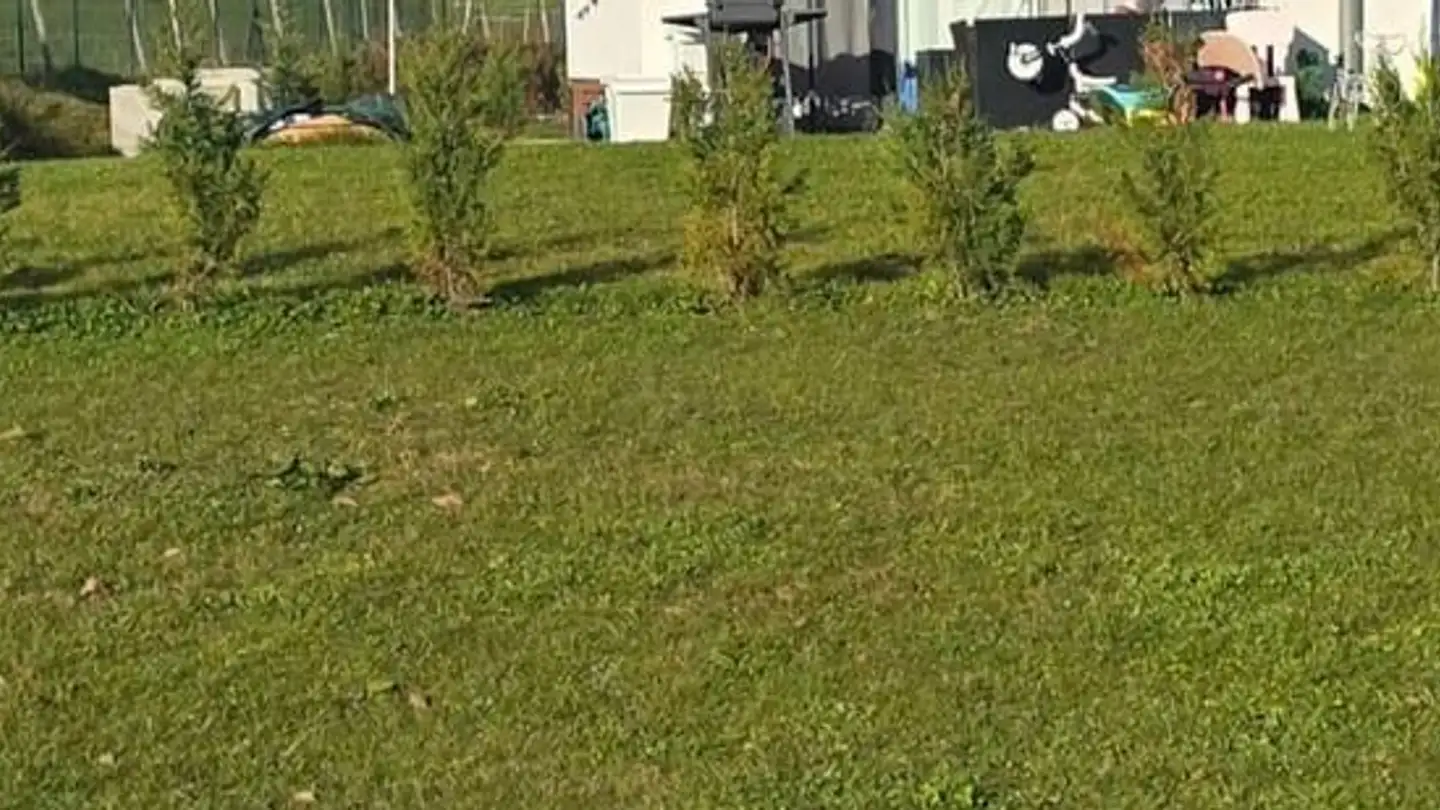 Appartement en terrasse à louer - Route D'oron 158, 1676 Chavannes-les-Forts