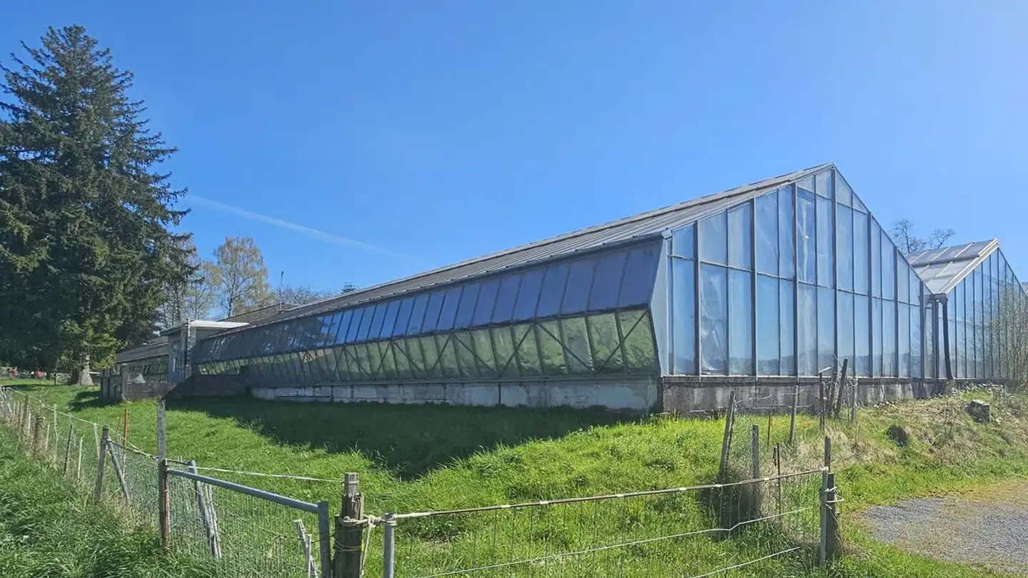 Commercial à louer - 8625 Gossau ZH