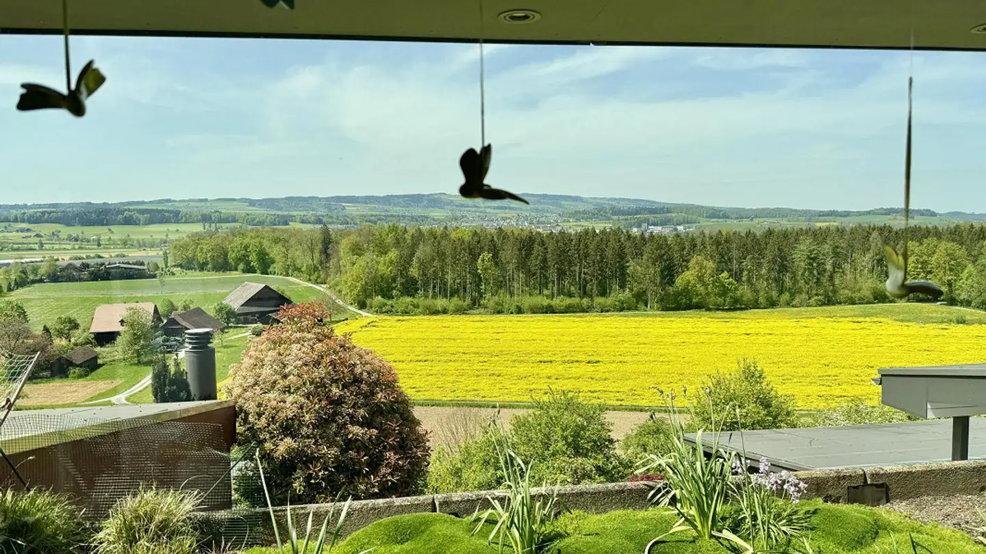 Villa for rent - Sonnhaldenstrasse 93, 6331 Hünenberg - Photo 4