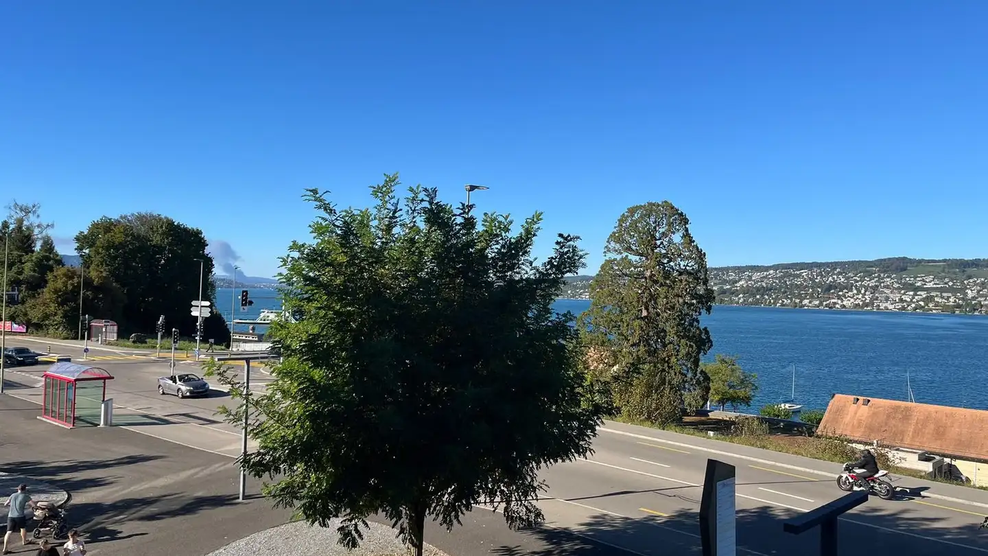 Wohnung mieten - Seestrasse 250, 8810 Horgen - Foto 4