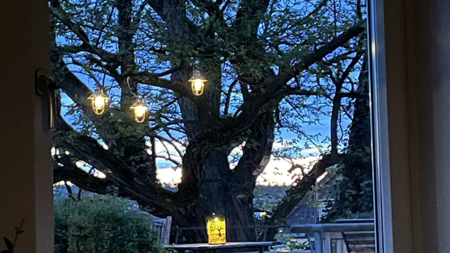 Single house for rent - Dahlienstrasse 30, 4106 Therwil - Photo 3