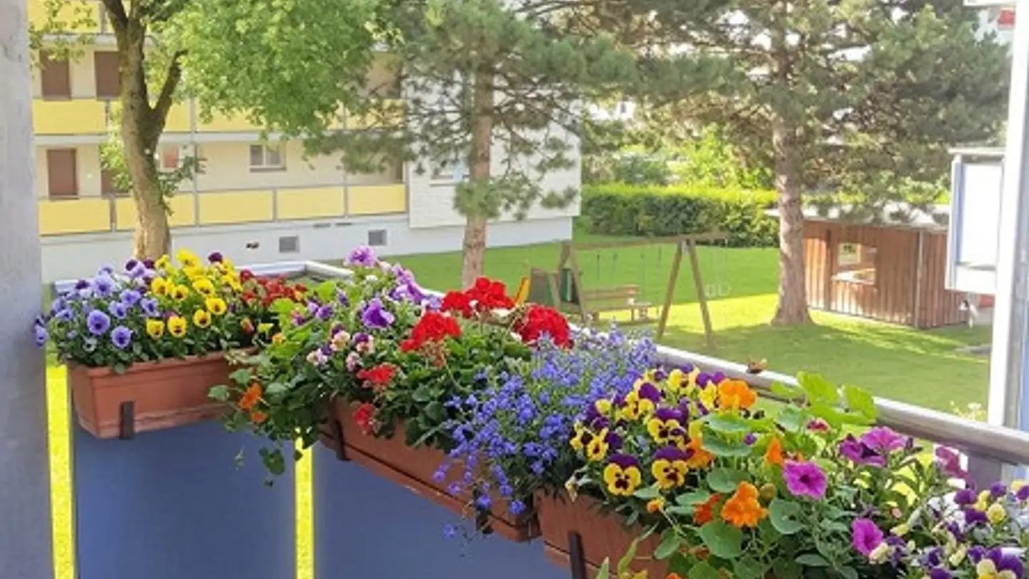 Wohnung mieten - Sternstrasse 5, 9470 Buchs SG